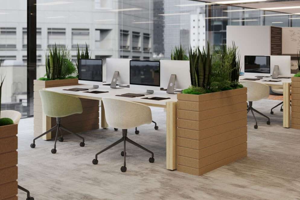 managing workplace distruption large m