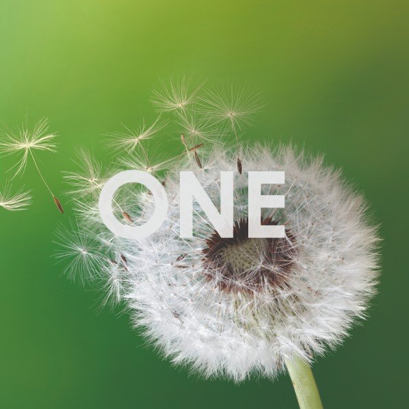 One World Different Needs