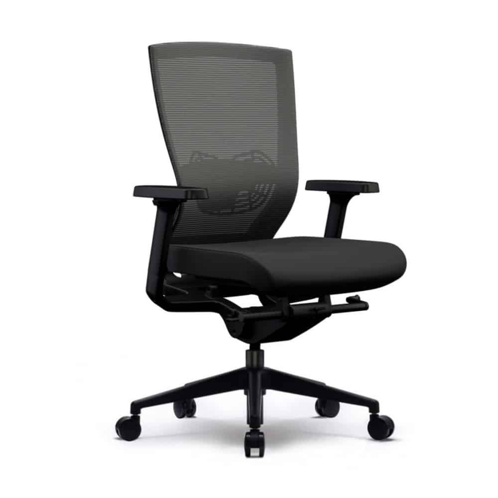 XC-80 Ergonomic Task Chair - Lumbar Support with Adjustable Arms - Black